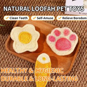 carrot craze feline toy